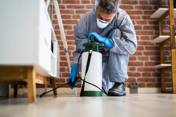 Real Estate Pest Inspections in Stockton, MO